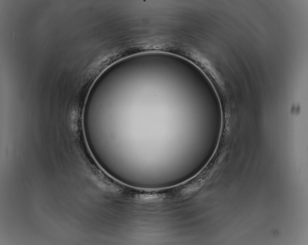 X0000090610161200707311230