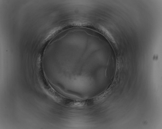 X0000090610163200707311230