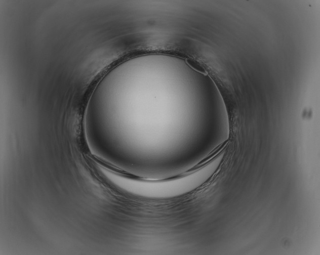 X0000090610164200707311230