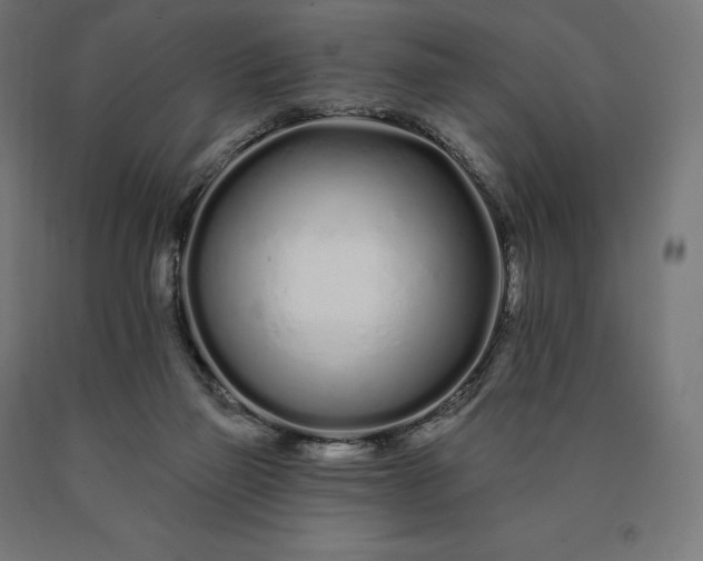 X0000090610165200707311230