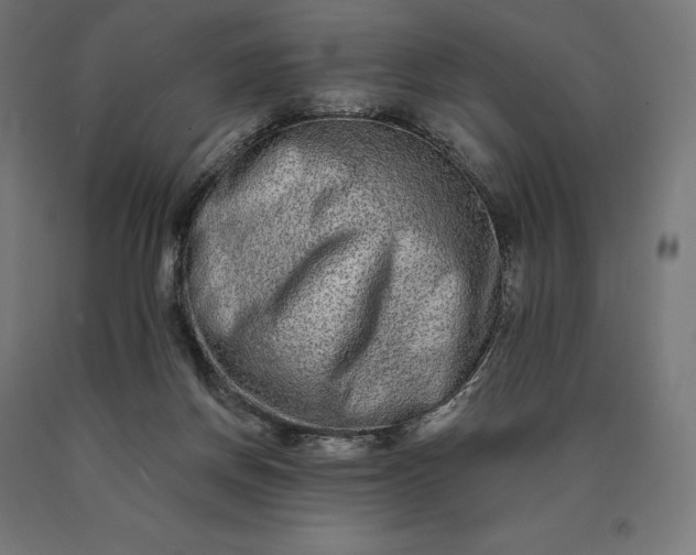 X0000090610166200707311230