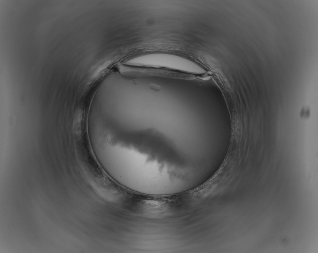 X0000090610167200707311230