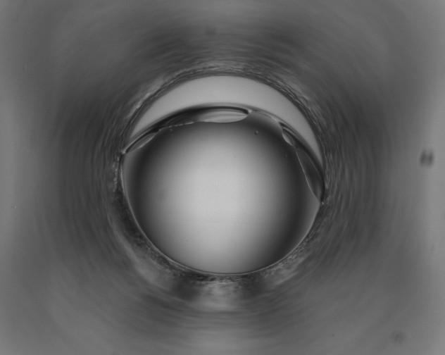 X0000090610168200707311230