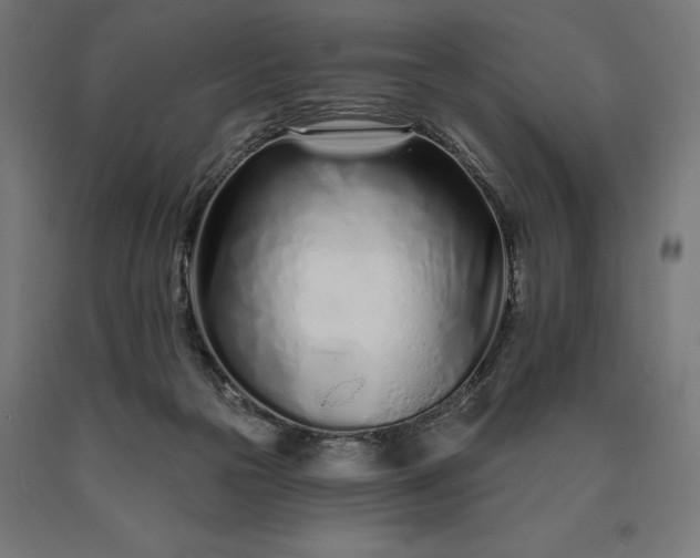 X0000090610169200707311230