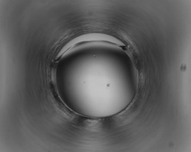 X0000090610170200707311230