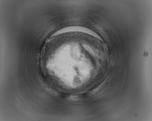 X0000090610171200707311230