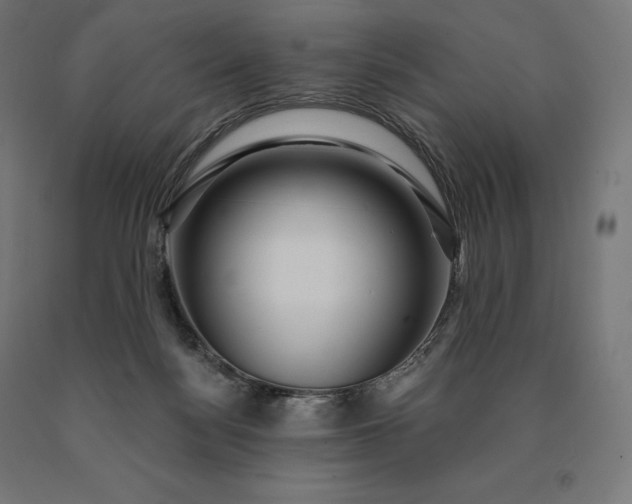 X0000090610172200707311230