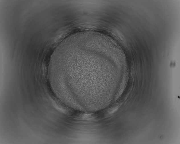 X0000090610173200707311230