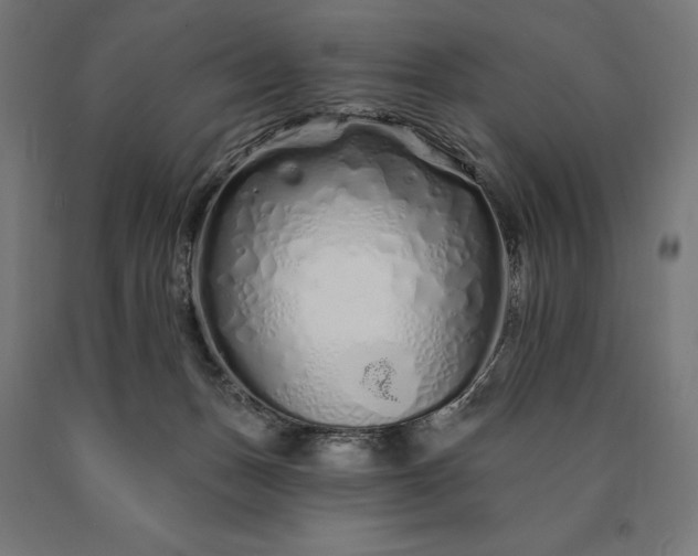 X0000090610175200707311230