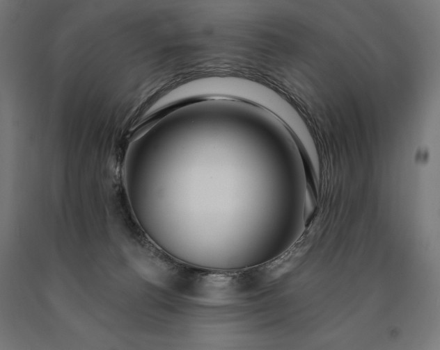 X0000090610176200707311230