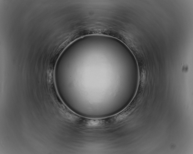 X0000090610177200707311230