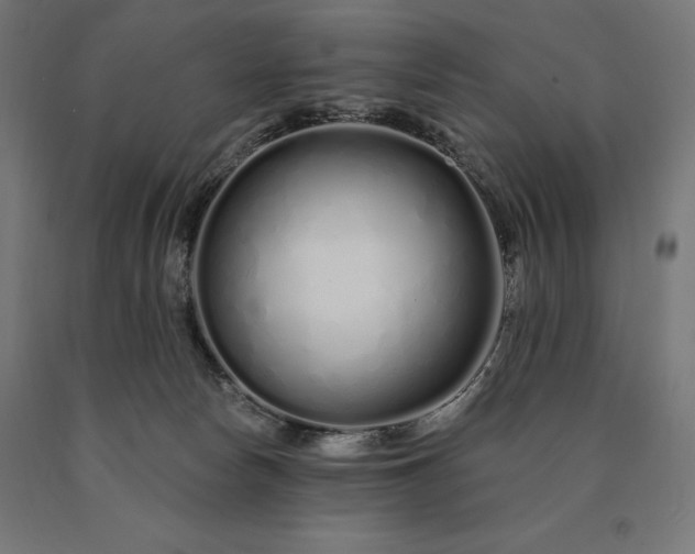 X0000090610178200707311230