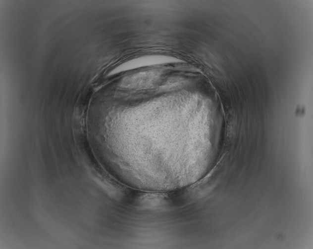 X0000090610179200707311230