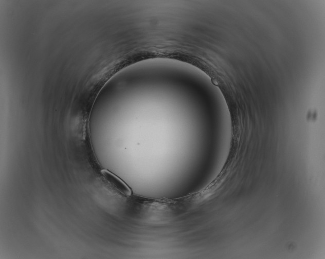 X0000090610180200707311230