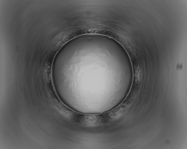 X0000090610181200707311230