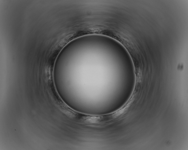 X0000090610182200707311230