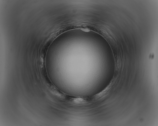 X0000090610183200707311230