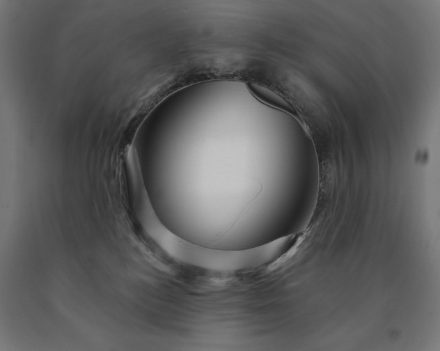 X0000090610184200707311230