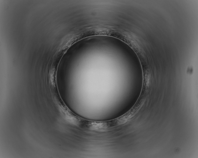 X0000090610185200707311230