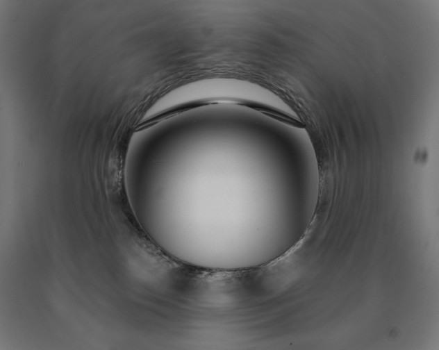 X0000090610186200707311230