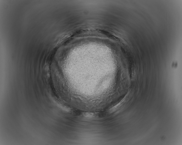 X0000090610187200707311230