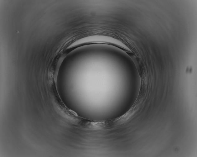 X0000090610188200707311230