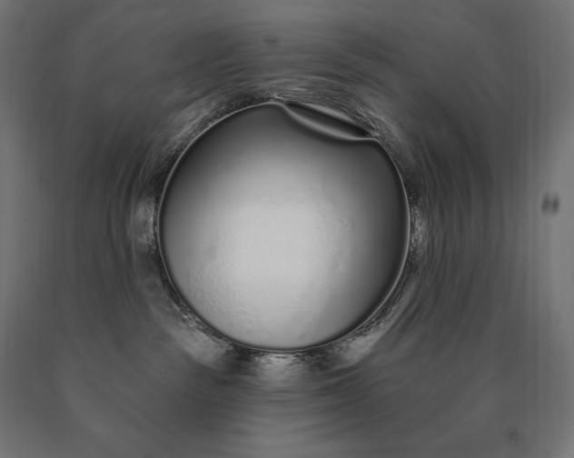 X0000090610189200707311230