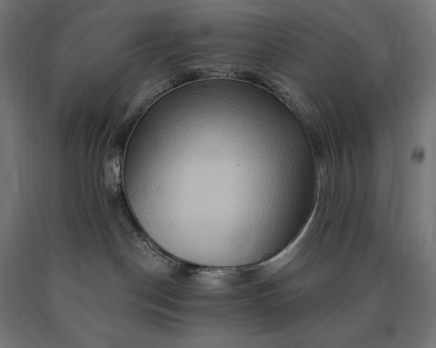 X0000090610190200707311230