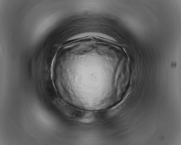 X0000090610191200707311230