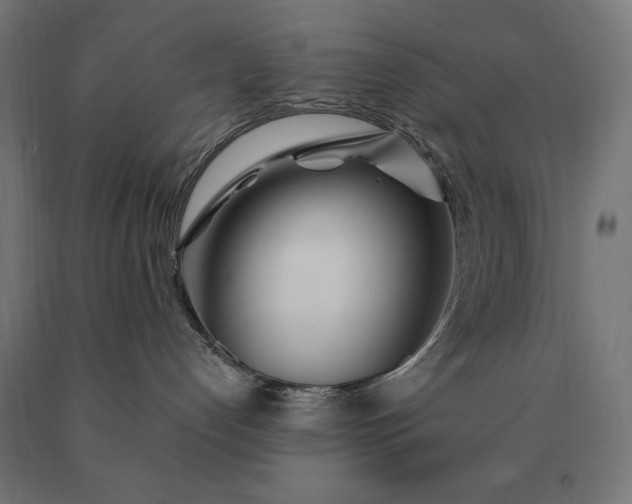 X0000090610192200707311230