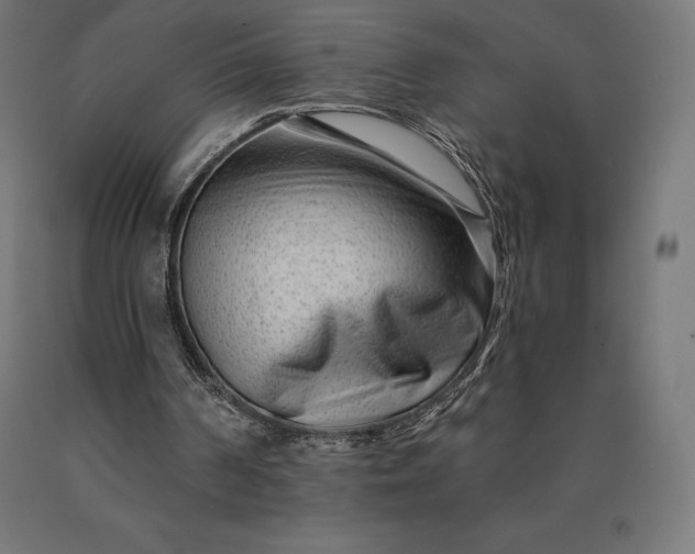 X0000090610194200707311229