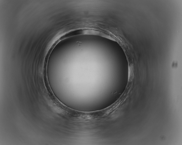 X0000090610195200707311229