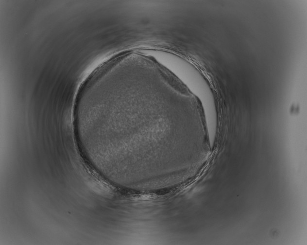 X0000090610196200707311229