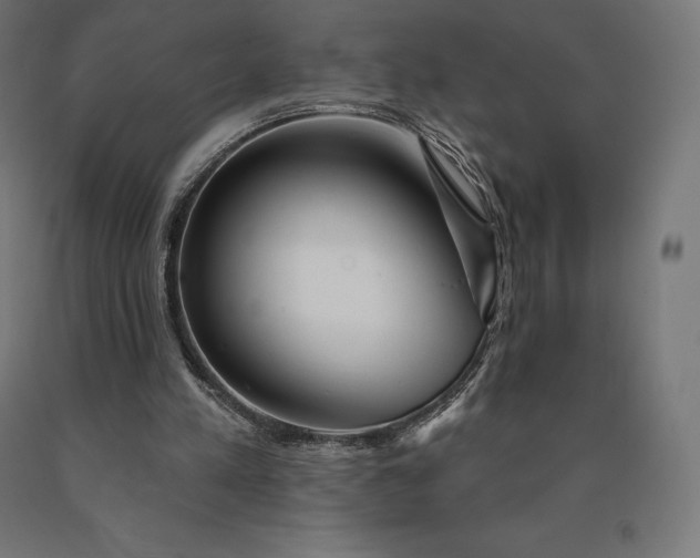 X0000090610197200707311229