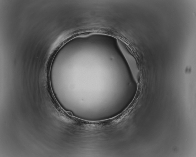 X0000090610198200707311229