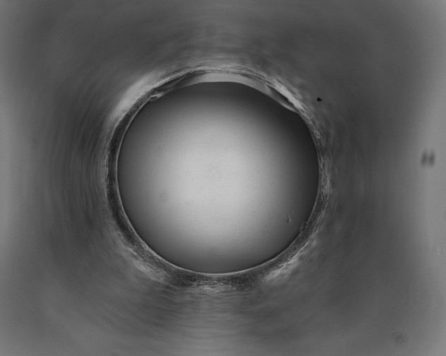 X0000090610199200707311229