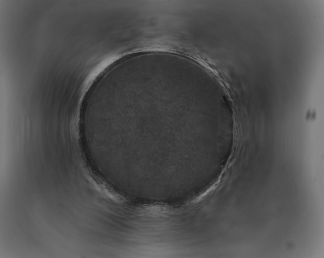 X0000090610200200707311229