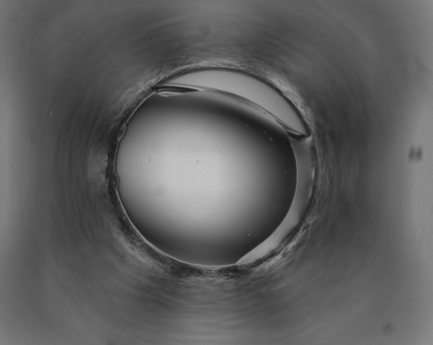 X0000090610201200707311229