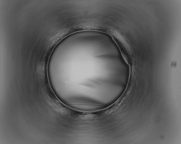 X0000090610202200707311229