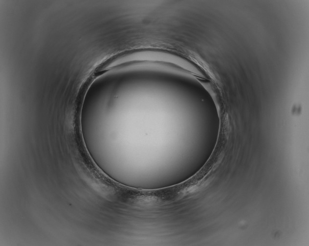 X0000090610203200707311229