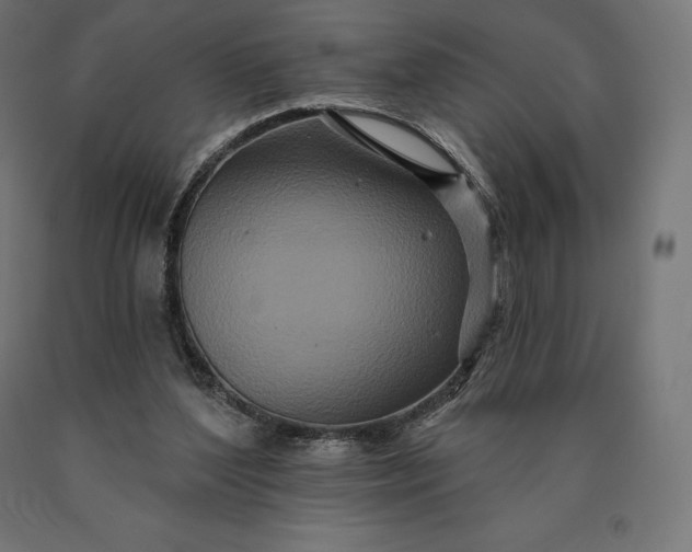 X0000090610204200707311229