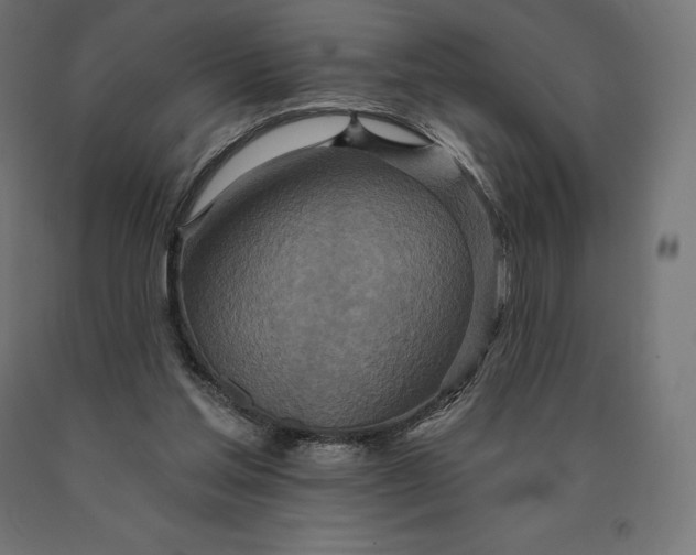 X0000090610205200707311229