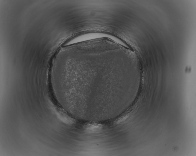 X0000090610206200707311229