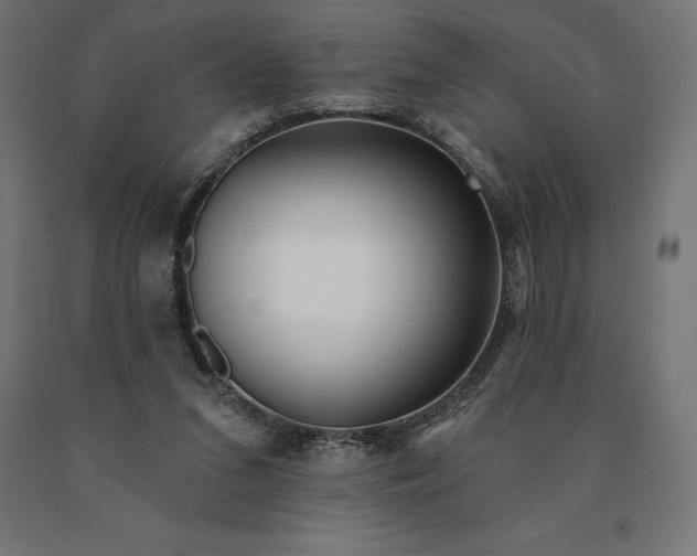 X0000090610207200707311229