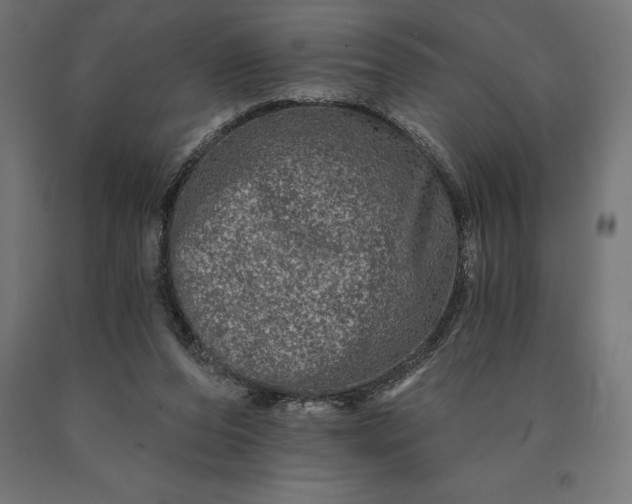 X0000090610208200707311229