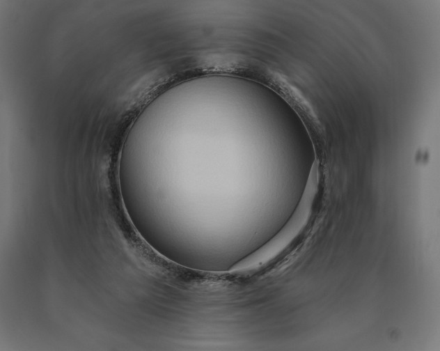 X0000090610209200707311229