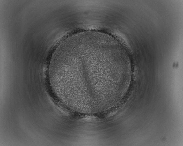 X0000090610210200707311229