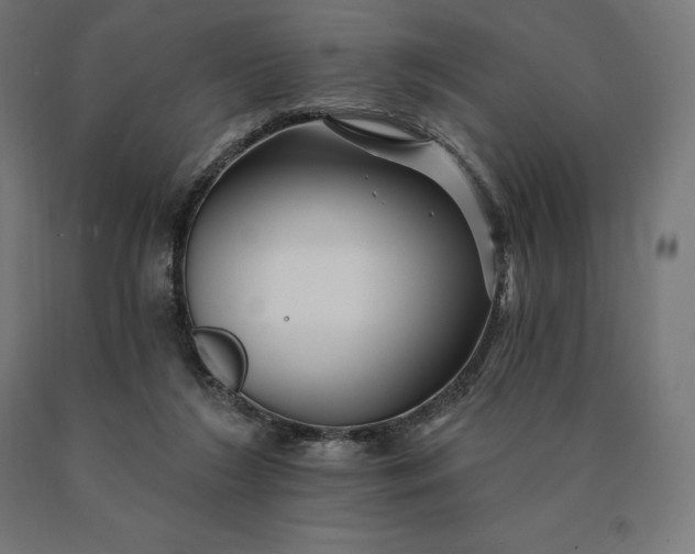 X0000090610212200707311229