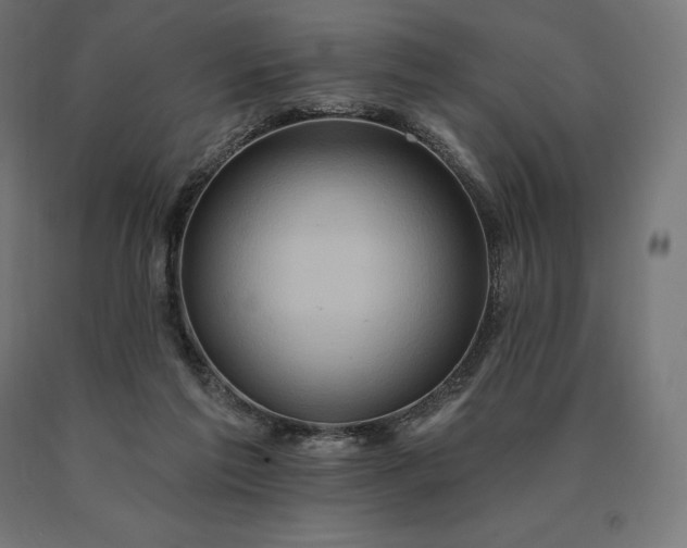 X0000090610213200707311229