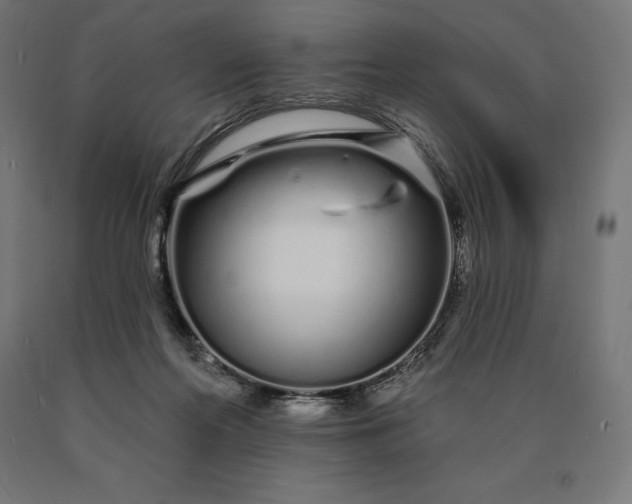 X0000090610214200707311229